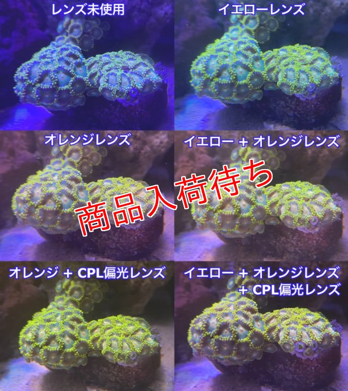 画像5: 水槽撮影専用レンズセット 【Lighting Master コーラルレンズ】 (5)