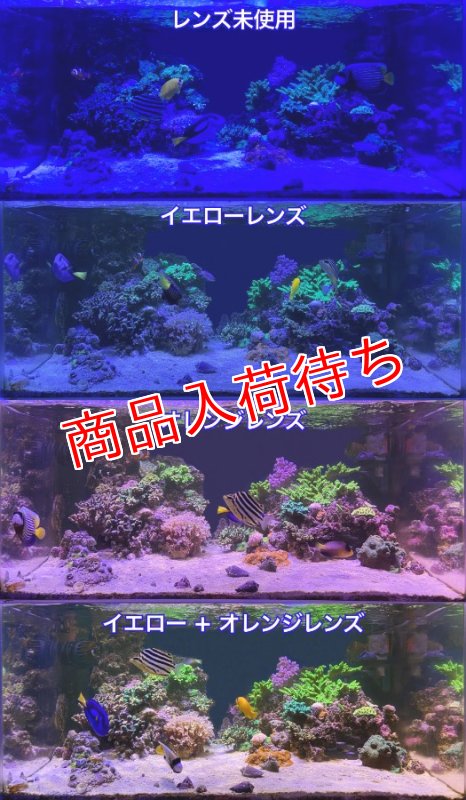 画像4: 水槽撮影専用レンズセット 【Lighting Master コーラルレンズ】 (4)