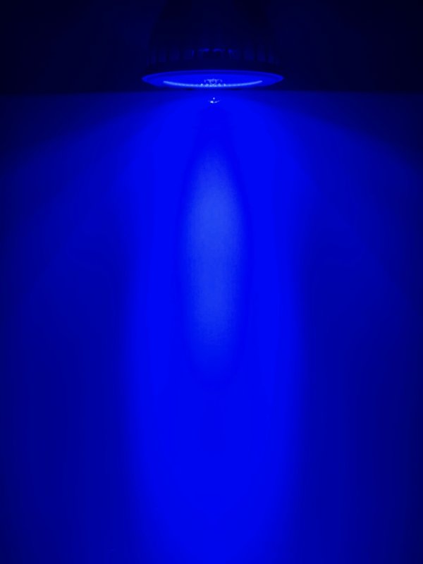 画像2: ◆高密度COB LED搭載◆超高輝度LEDランプ Lighting Master C-12【ロイヤルブルー】50,000K (2)