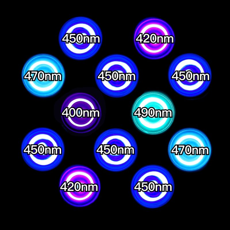 画像2: 【最新仕様】50,000K マルチスペクトル 24W型 超高輝度特殊デュアルチップLED搭載ランプ Lighting Master 24DCII【UVサファイア】蛍光サンゴの色揚げに最適なワイドレンジブルー光 (2)