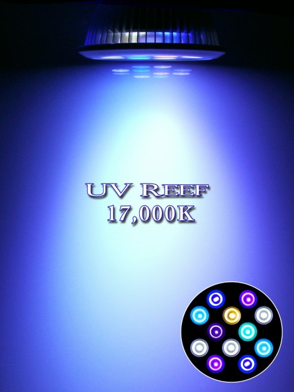 画像3: 【最新仕様】17,000K フルスペクトル 24W型 超高輝度特殊デュアルチップLED搭載ランプ Lighting Master 24DCII【UVリーフ】浅場のミドリイシ専用モデル (3)