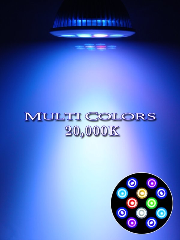 画像3: 【最新仕様】20,000K RGB系フルスペクトル 24W型 超高輝度特殊デュアルチップLED搭載ランプ Lighting Master 24DCII【マルチカラー】赤やオレンジ系のサンゴや魚が美しく映える色合い (3)