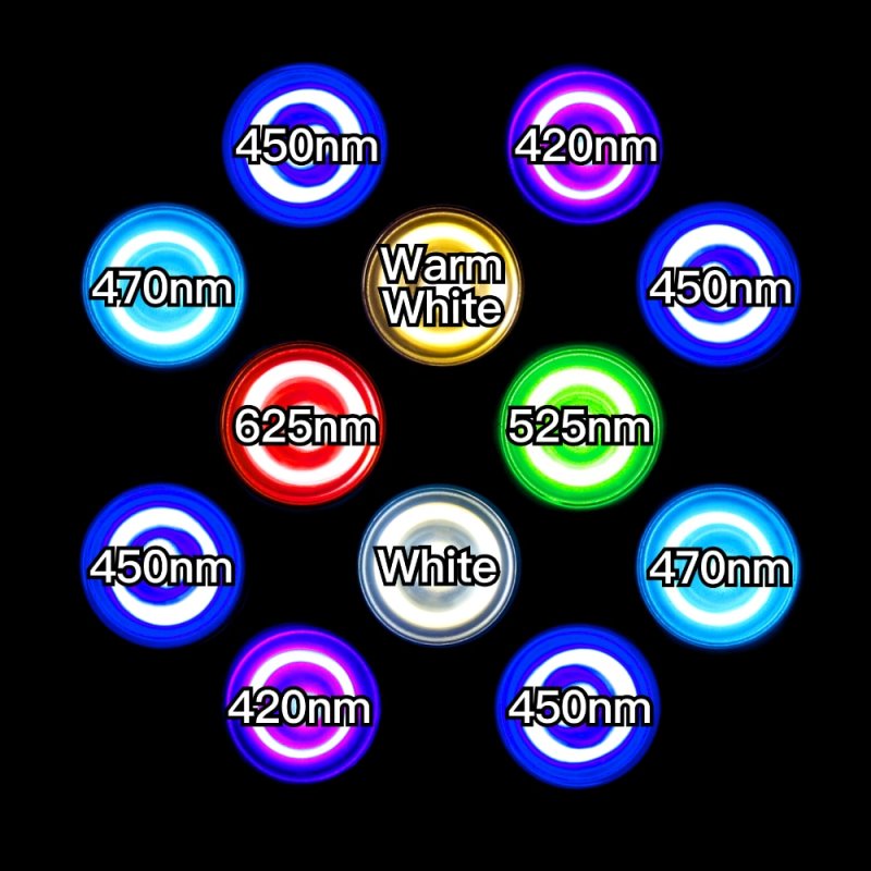 画像2: 【最新仕様】20,000K RGB系フルスペクトル 24W型 超高輝度特殊デュアルチップLED搭載ランプ Lighting Master 24DCII【マルチカラー】赤やオレンジ系のサンゴや魚が美しく映える色合い (2)