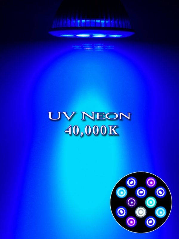 画像3: 【最新仕様】40,000K フルスペクトル 24W型 超高輝度特殊デュアルチップLED搭載ランプ Lighting Master 24DCII【UVネオン】青みの強い色合いでサンゴを美しく輝かせる (3)