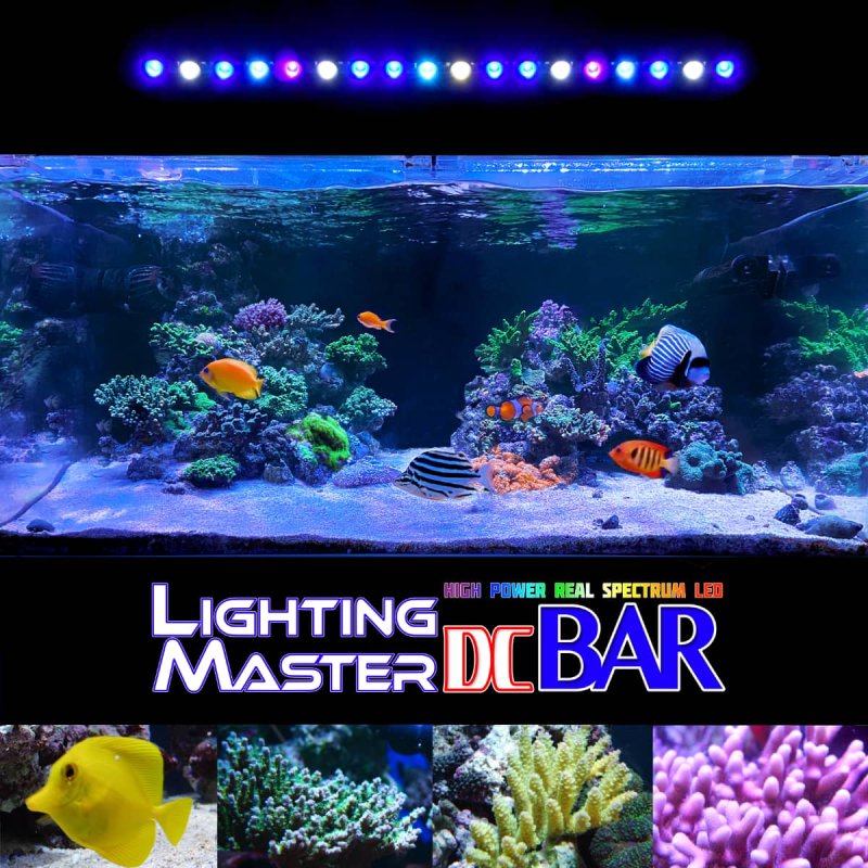 画像2: 20,000K フルスペクトル 60〜90cm水槽対応 超高輝度特殊デュアルチップLED搭載ランプ Lighting Master DC Bar【マリンブルー】本体色:グレーメタリック (2)