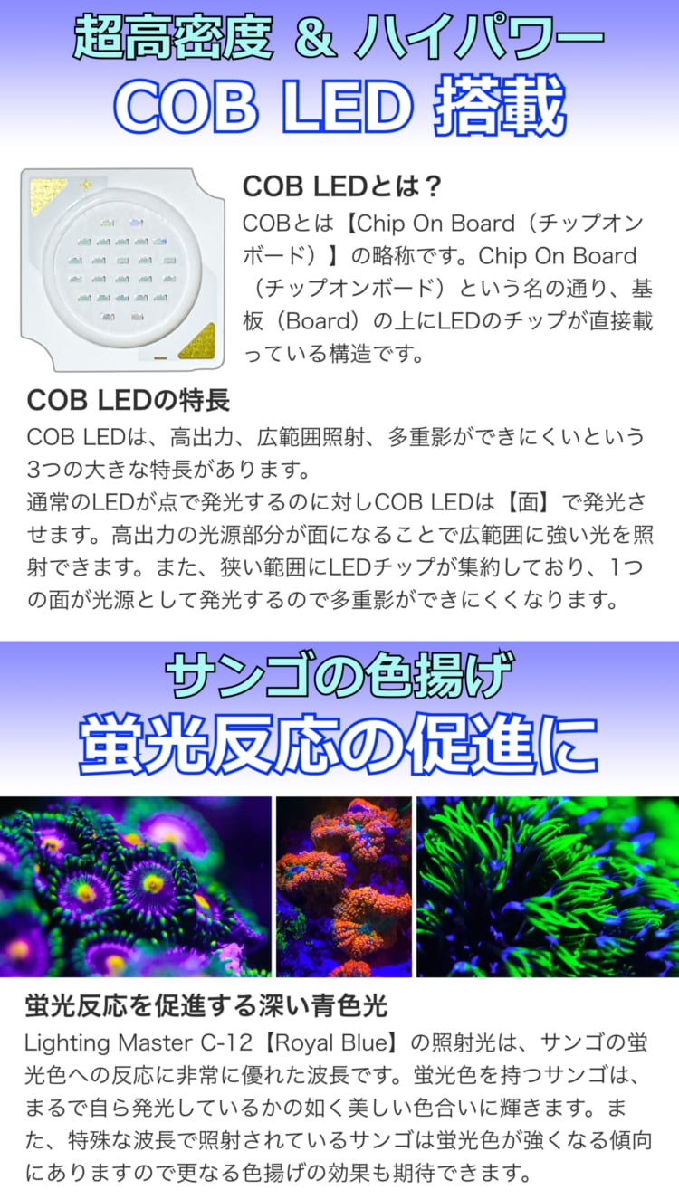 高密度COB LED搭載 50 000K Lighting Master C-12 ロイヤルブルー